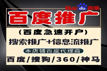 SEM服务案例：助力企业实现业绩翻倍